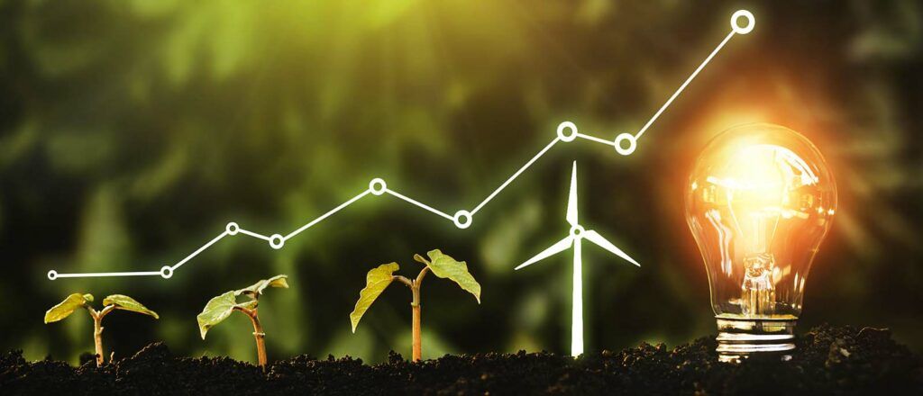 business-consultant-EnergyEssentials